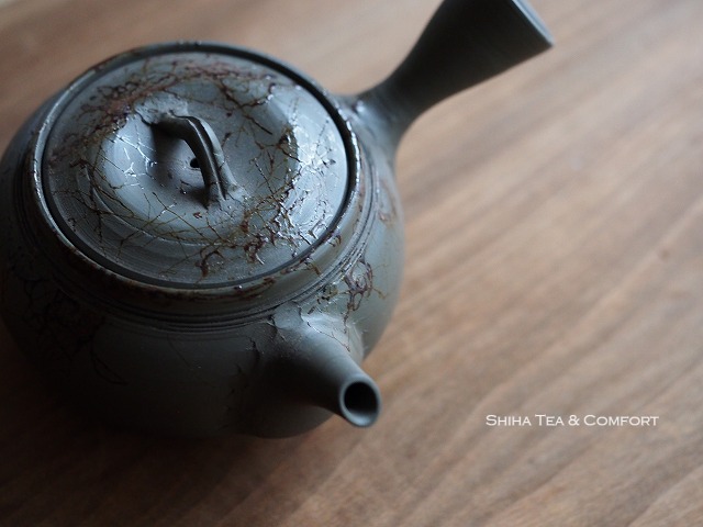 Beautiful Japanese Kyusu Teapot, Tokyo Teapot  Shop, Shiha Tea & Comfort, Japan