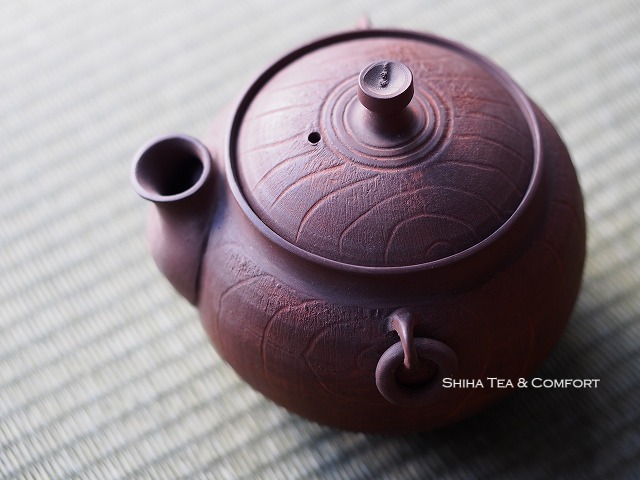 Beautiful Japanese Kyusu Teapot, Tokyo Teapot  Shop, Shiha Tea & Comfort, Japan