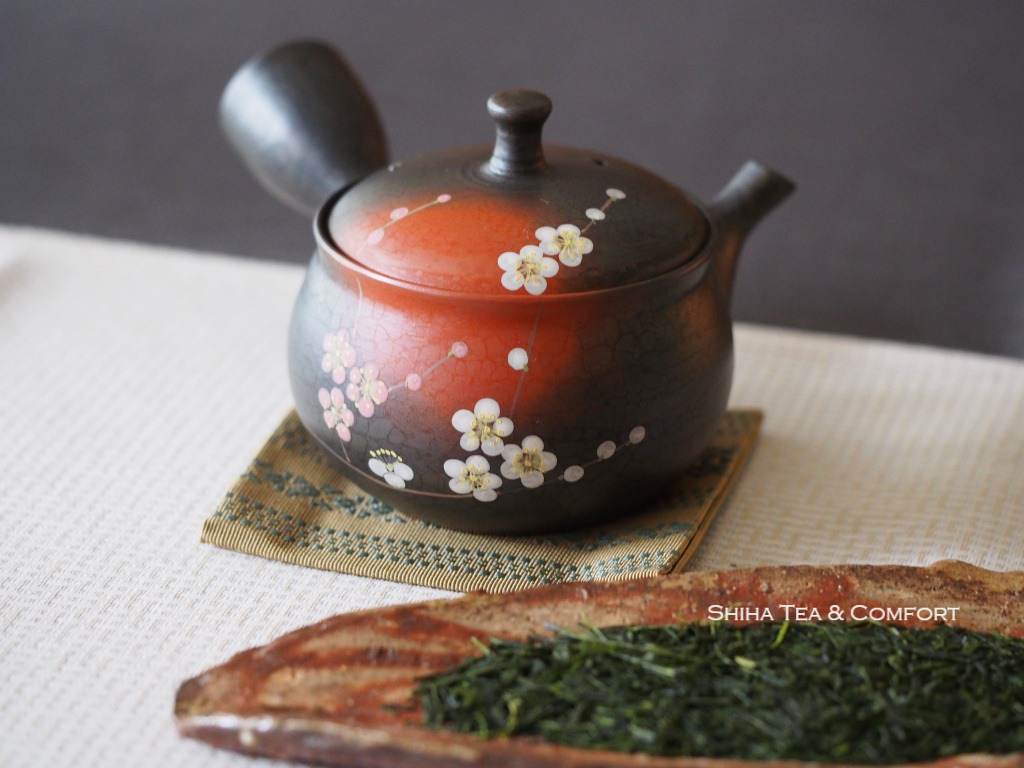 Beautiful Japanese Kyusu Teapot, Tokyo Teapot  Shop, Shiha Tea & Comfort, Japan