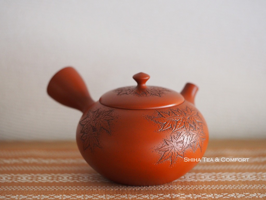 Kiwami Syudei kyusu teapot 250 cc w handcrafted ceramic mesh JINSUI Hirafuku 