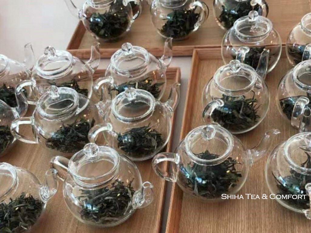 Chinese Tea Seminar (White tea  Jasmin Tea) at Nihon Pharmaceutical  University 日本薬科大学にて中国茶講座 「日常に取り入れる中国茶－白茶とジャスミン茶を知る」開催 | SHIHA TEAPOT SHOP -  Japanese Kyusu Teapot