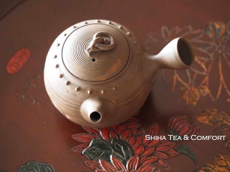 Takei-Kibutsu Stainless Steel Steel Kyusu Teapot 003759