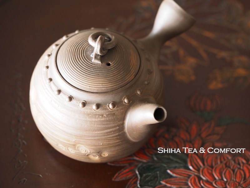 Takei-Kibutsu Stainless Steel Steel Kyusu Teapot 003759