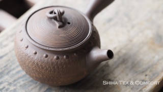 TOJU（Sugie Hirotaka） Wood-like Round Rivet Pottery Kyusu Teapot 