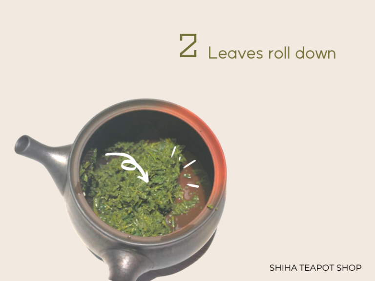 How to Wash & Care Japanese Kyusu Teapot Properly (Cleaning