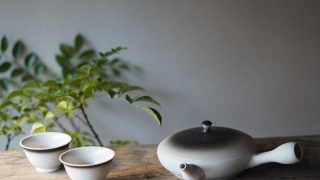 Masatoshi Sutopoさん専用 サマーSALE開催中】パーフェクト墨つぼ8鶴首MR タジマ PS-SUM8T