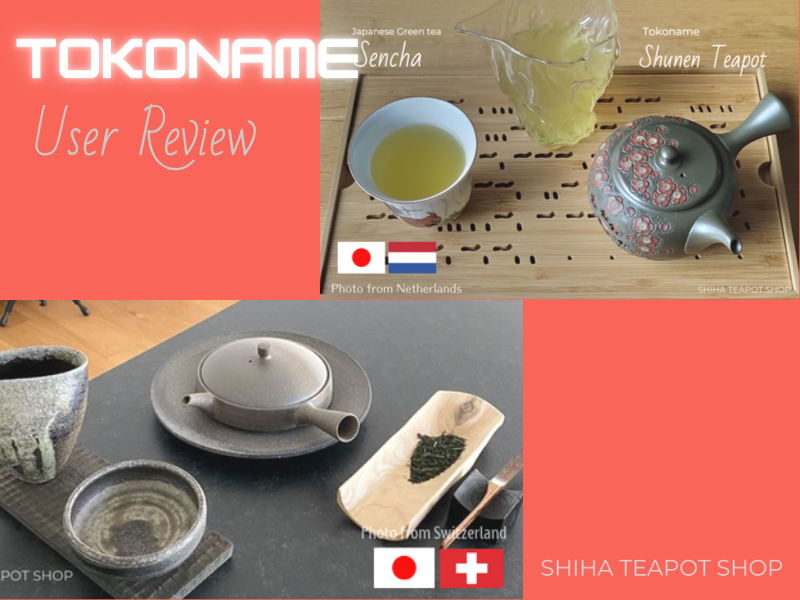 Tea Pot, Clay. Tokoname Japanese Kyusu – livewellteaco